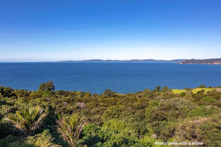 76 Waihirere Drive Tuateawa_7