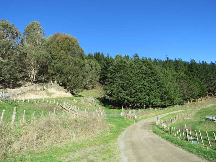 507 Apley Road Puketapu_9