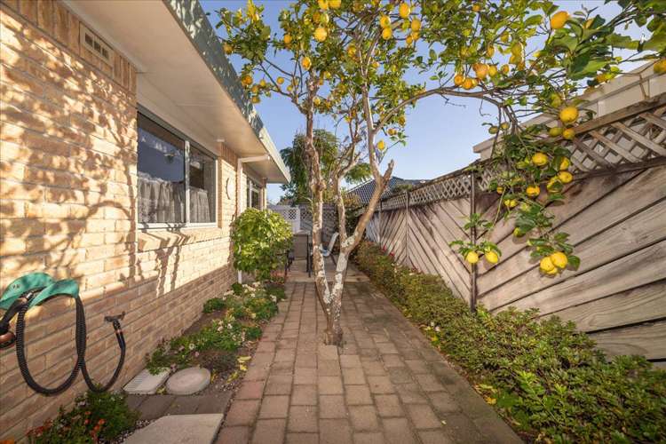 3A Esme Place Matua_19