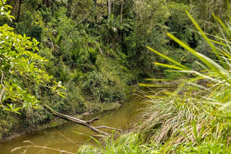 263 Sunnyside Road Coatesville_6