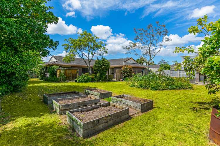 51a Swanson Road Henderson_14