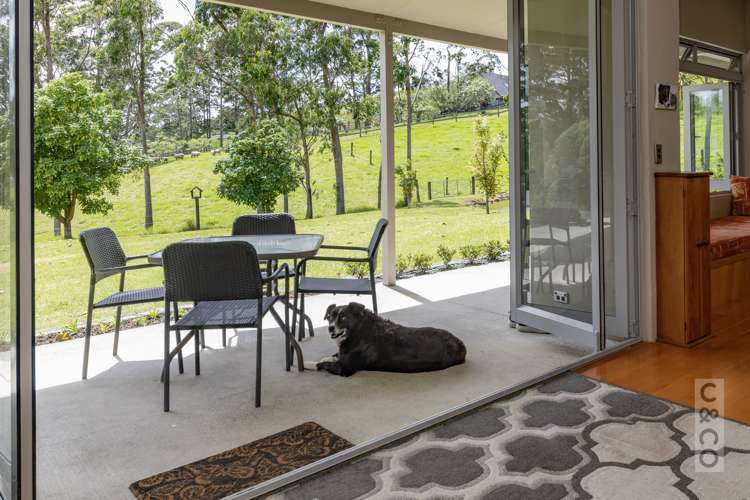 589 Inland Road Helensville_21