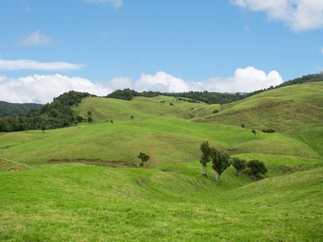 582 Tauraroa Valley Road Maihiihi_1