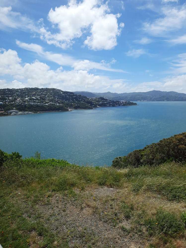 1/23a Rangitane Street Maupuia_9