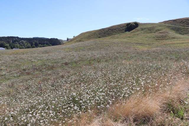 Te Akau Road Te Akau_4