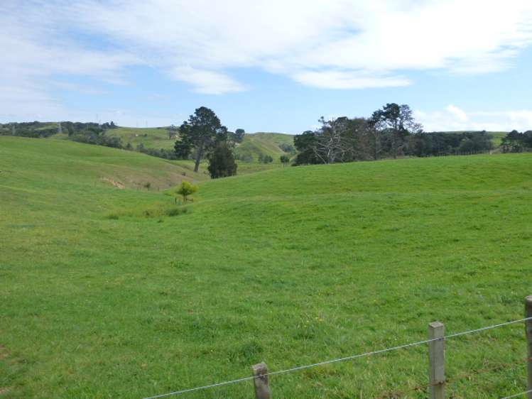 141c Oram Road Mercer_11