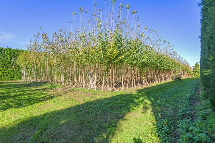 96 Engles Road Shannon_11