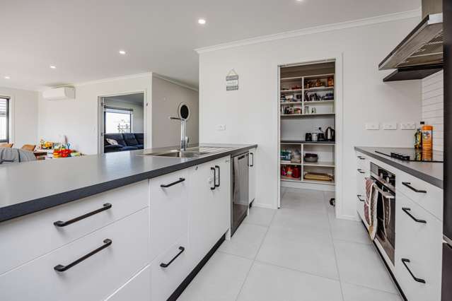 57 Murray Ward Drive Te Kauwhata_3