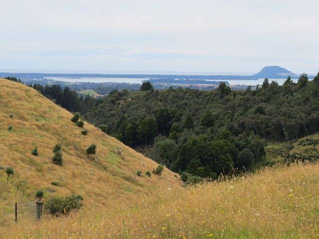 764 Work Road Whakamarama_1