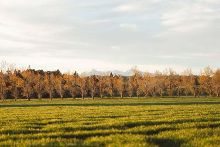 Rowallan Road Darfield_18