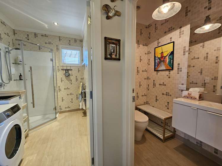 13 Tekapo-Twizel Road Lake Tekapo_20