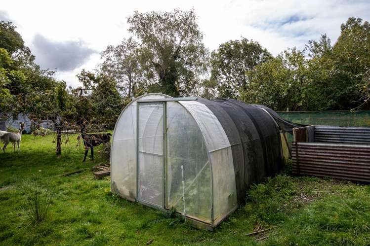 657 Domett Road Domett_29