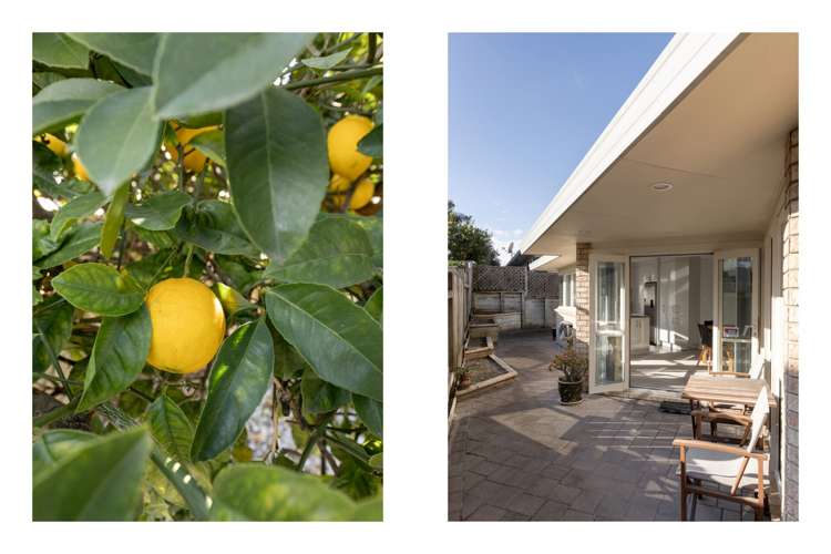 117a Valley Road Mount Maunganui_19