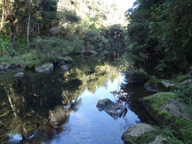 851 Wright Road Aongatete_20