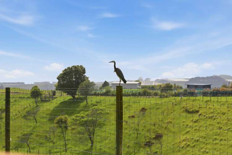 106B Awanuiarangi Road Pikowai_41