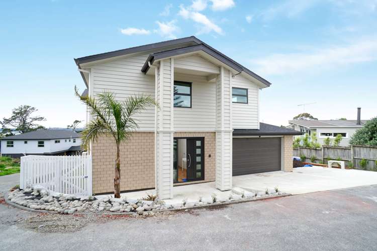 48d Totara Road Te Atatu Peninsula_0