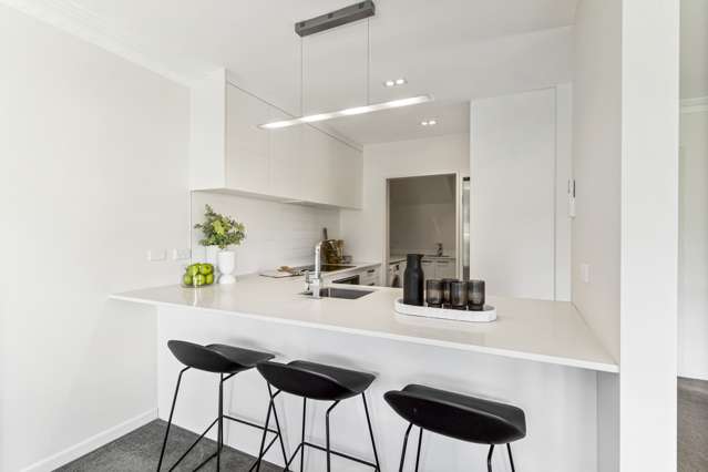97b Selwyn Avenue Mission Bay_1