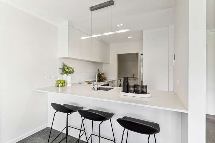 97b Selwyn Avenue Mission Bay_1
