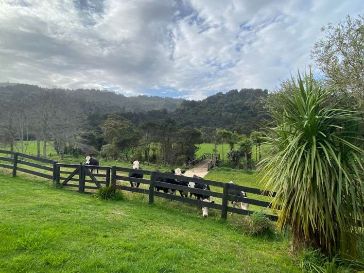 115 Bethells Road Waitakere_20