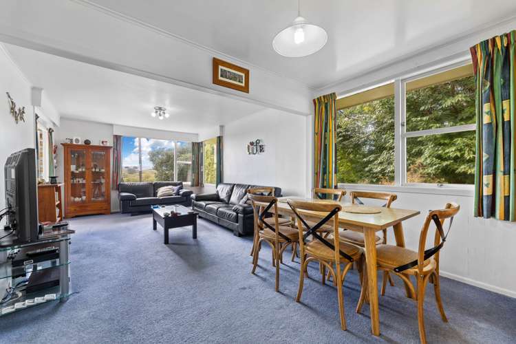 33 Prospect Avenue Tirau_7