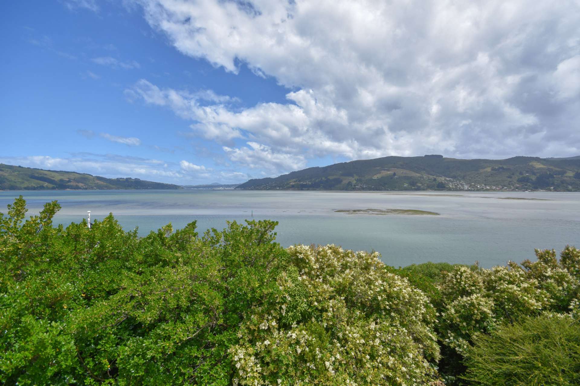 20 Bayne Terrace Macandrew Bay_0