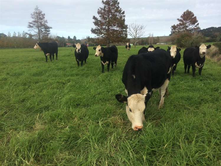 1166 Leigh Road Matakana_16