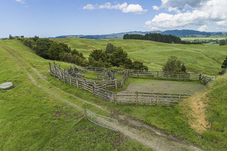 282 Taipuha Station Road Otamatea Surrounds_14