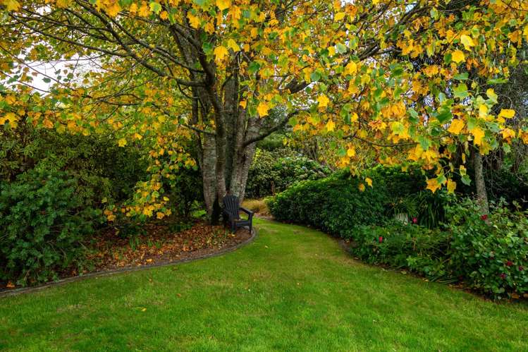 37 Burwood Road Tikitere_32