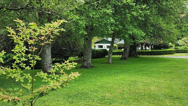 172 Belk Road Omanawa_4