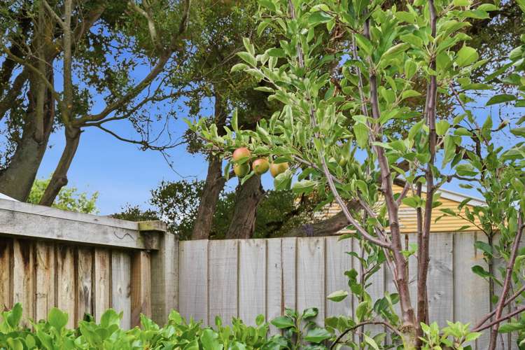 7 Ettrick Lane Richmond_17