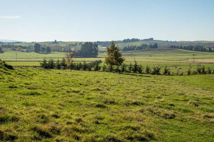 89C Mckinnon Road Mcnab_14