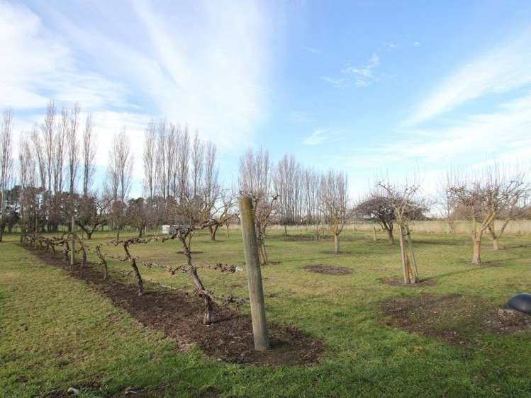 61 Albert Street Netherby_13