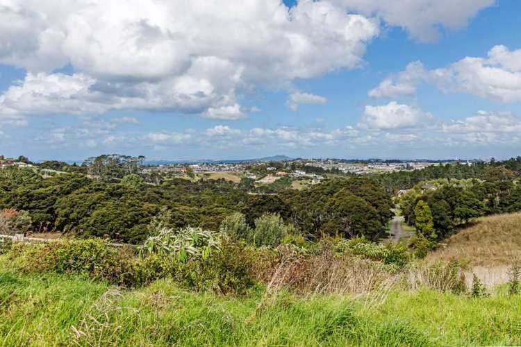 251 Lonely Track Road Albany Heights_10