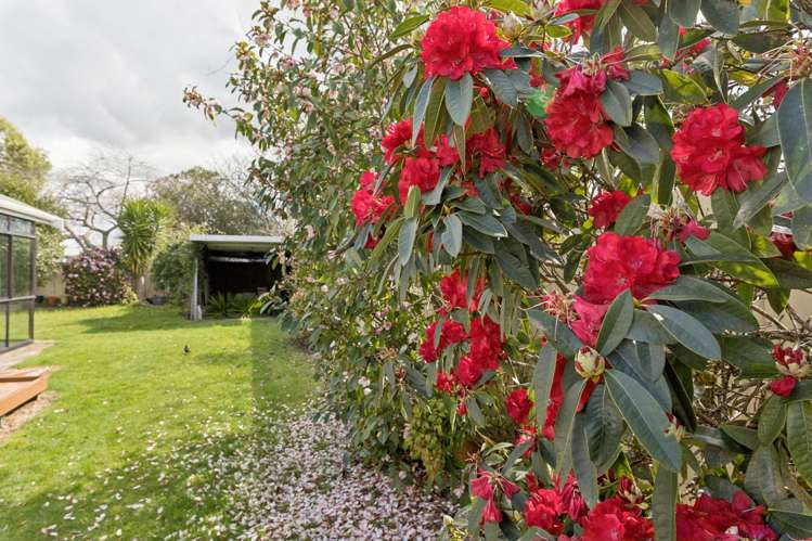 A/105 Hakanoa Street Huntly_36