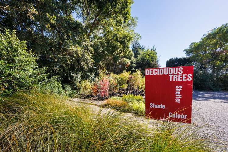 774 Taonui Road Colyton_31