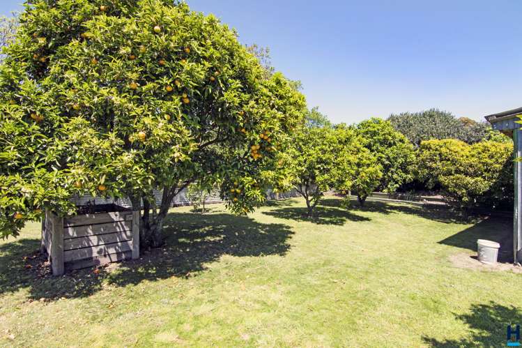 7 North Street Motueka_10