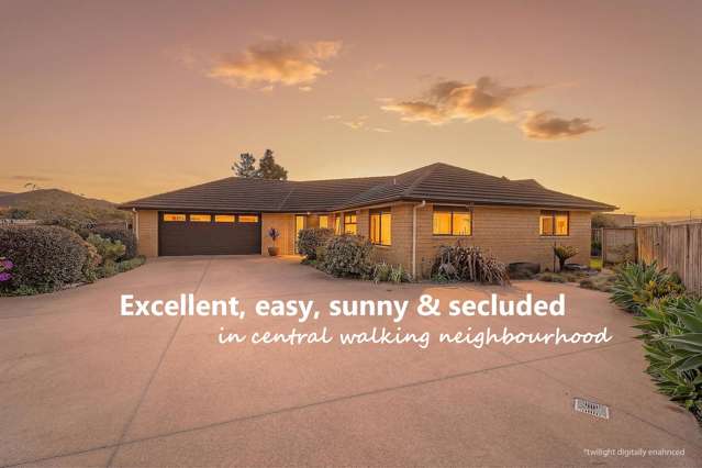 IDEAL SUNNY MODERN WALKING DOUBLE-GLAZED BRICK