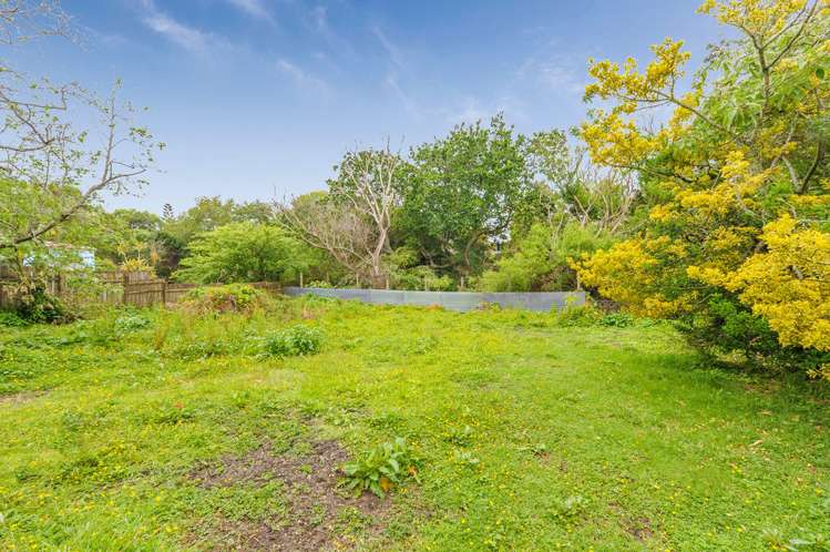 124 Portage Road New Lynn_8