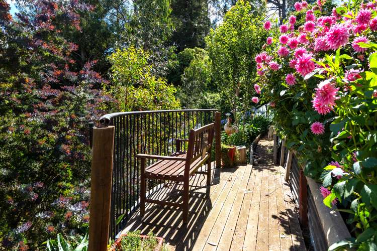 97 Hillary Street Liberton_21