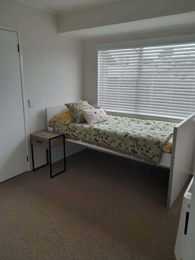 2 Robson Street Mount Roskill_9