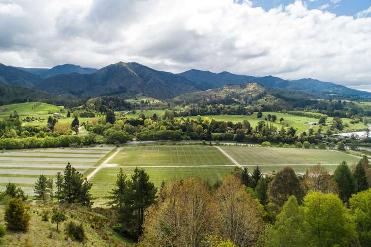 1815 Motueka Valley Highway Ngatimoti_28