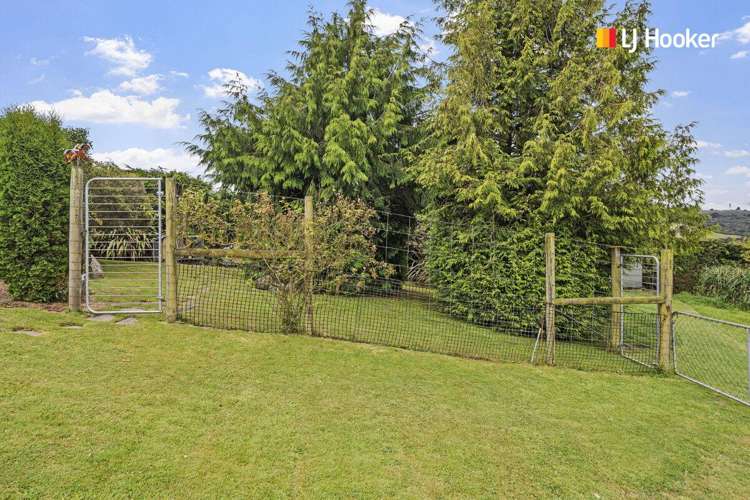 43 Halfway Bush Road Halfway Bush_28