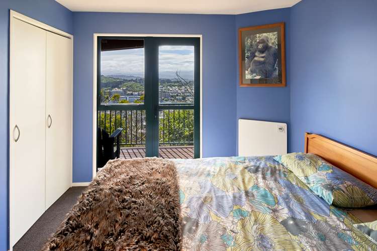 2 Pearce Street Vogeltown_9