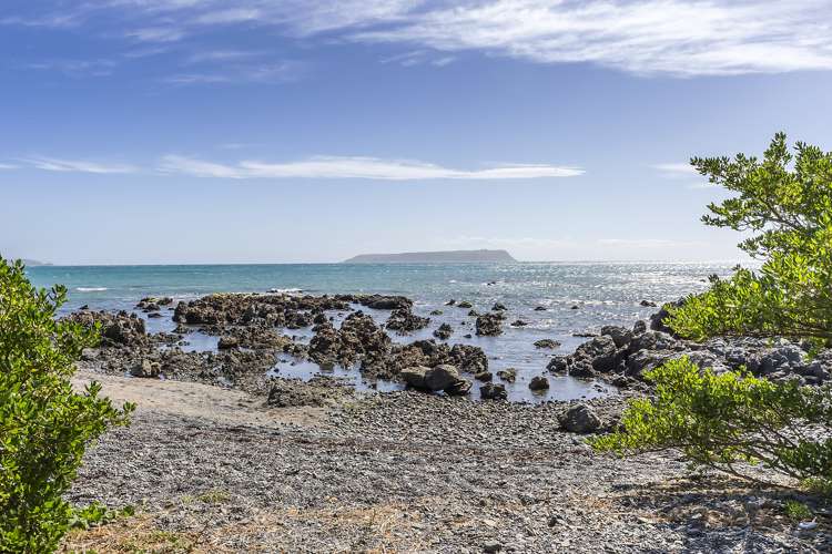 78 Moana Road Plimmerton_18