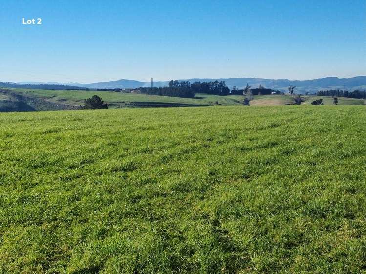 Cameron Road, Hillend Balclutha_6