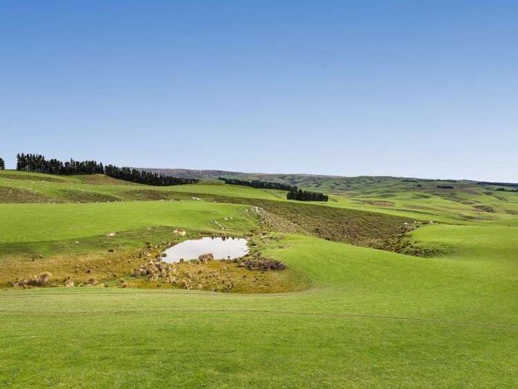 1680 Mahinerangi Road Waipori_4