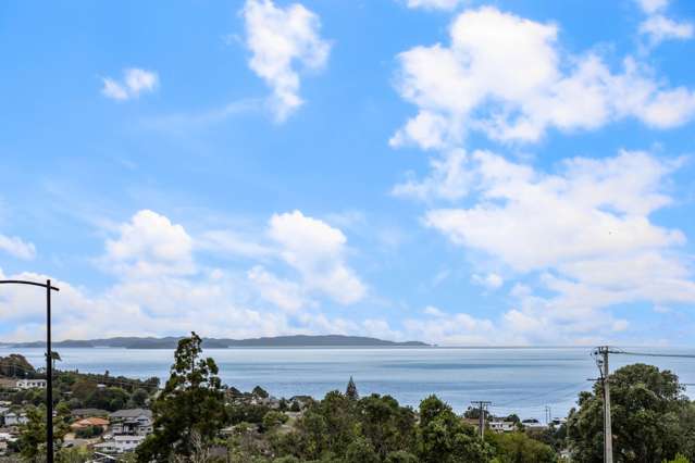 15 Anehana Place Stanmore Bay_2
