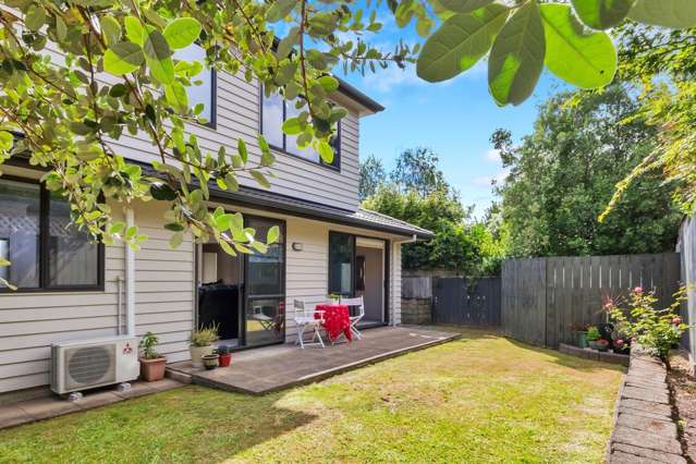 49a Dexter Avenue Mount Eden_1