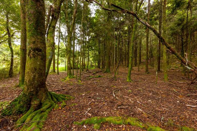 1037 Puketotara Road Okaihau_23