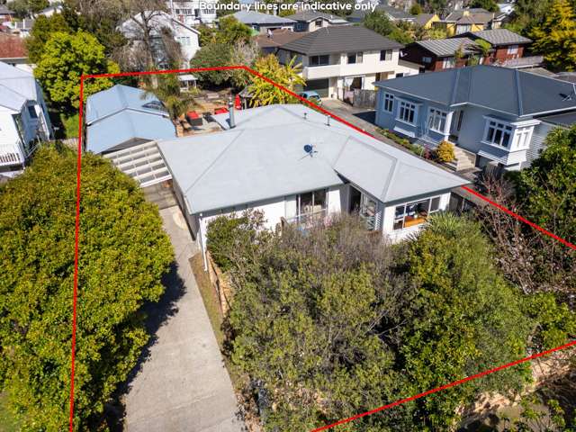 24 Haig Avenue Mount Roskill_1